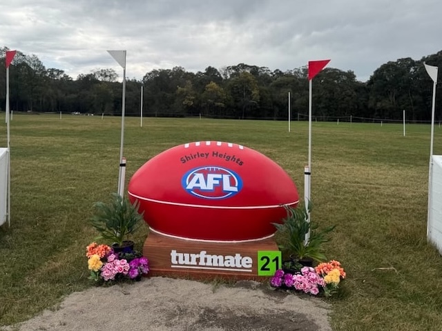 AFL football